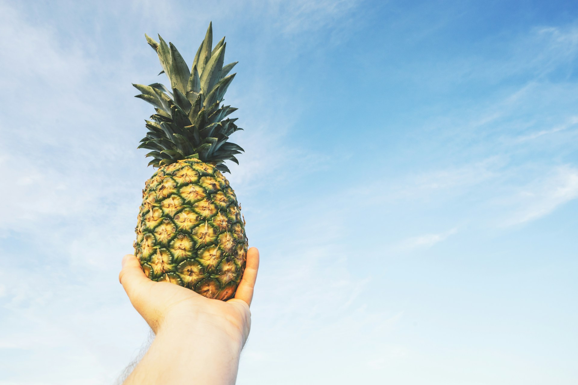 🍍金鑽鳳梨評鑑出爐！甜度冠軍一次看